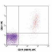 PE anti-human CD79b (Igβ)