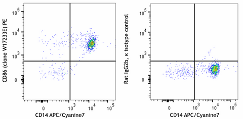 PE anti-human CD86