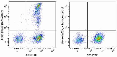 PE anti-human CD8b Recombinant