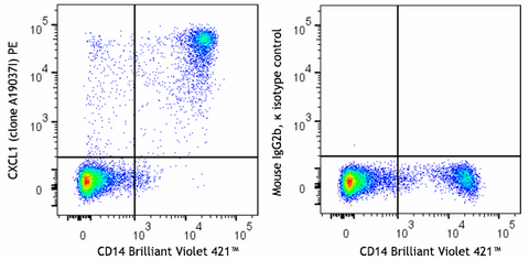 PE anti-human CXCL1 (GROα)