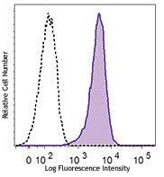 PE anti-human Dopamine Receptor D1 (DRD1)