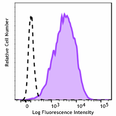 PE anti-human EGFRvIII Recombinant