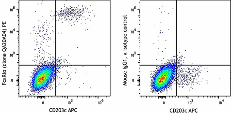 PE anti-human FcεRIα Recombinant