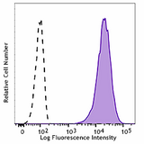PE anti-human Folate Receptors α and β (FR-αβ)