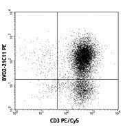 PE anti-human GM-CSF