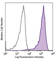 PE anti-human GPR19