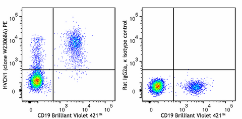 PE anti-human HVCN1