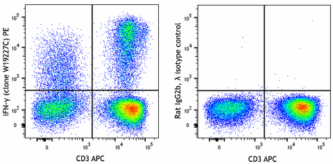 PE anti-human IFN-γ