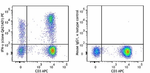 PE anti-human IFN-γ Recombinant