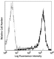 PE anti-human/mouse CD266 (Fn14, TWEAK R)