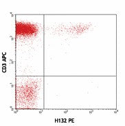 PE anti-human TCR Vβ13.2