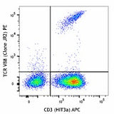 PE anti-human TCR Vβ8