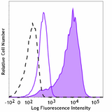 PE anti-LAT Phospho (Tyr171)