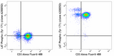 PE anti-LAT Phospho (Tyr171)