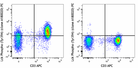 PE anti-Lck Phospho (Tyr394)