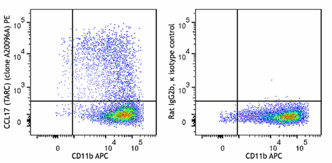 PE anti-mouse CCL17 (TARC)