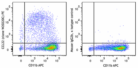 PE anti-mouse CCL22 (MDC)