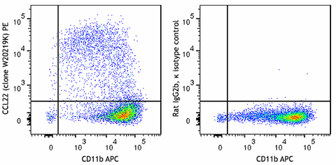 PE anti-mouse CCL22 (MDC)