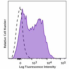 PE anti-mouse CD115 (CSF-1R)