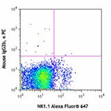 PE anti-mouse CD159a (NKG2AB6)