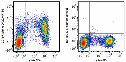 PE anti-mouse CD169 (Siglec-1) Recombinant