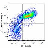 PE anti-mouse CD172a (SIRPα)