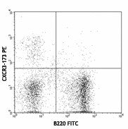 PE anti-mouse CD183 (CXCR3)