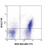 PE anti-mouse CD196 (CCR6)