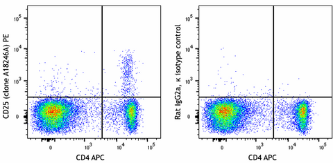 PE anti-mouse CD25