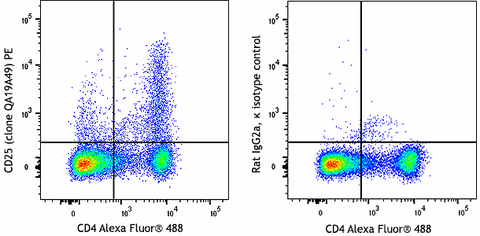 PE anti-mouse CD25 Recombinant