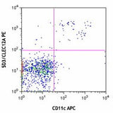 PE anti-mouse CD371 (CLEC12A)