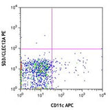 PE anti-mouse CD371 (CLEC12A)