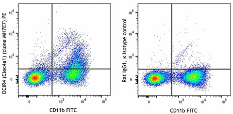 PE anti-mouse DCIR4 (Clec4a1)