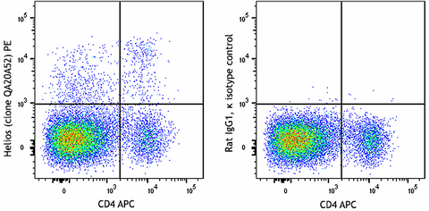 PE anti-mouse/human Helios Recombinant