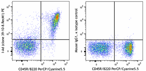PE anti-mouse I-Ad Recombinant