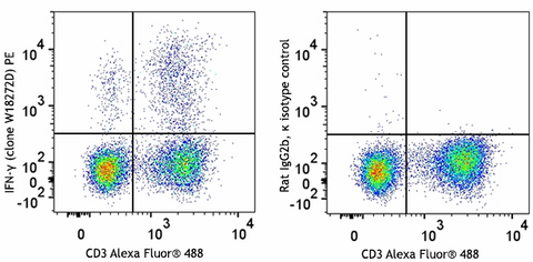 PE anti-mouse IFN-γ