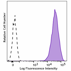 PE anti-mouse Integrin αVβ8
