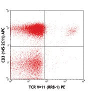 PE anti-mouse  TCR Vα11.1, 11.2