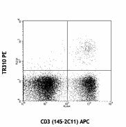 PE anti-mouse TCR Vβ7