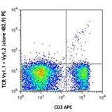 PE anti-mouse TCR Vγ1.1 + Vγ1.2