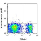 PE anti-mouse TCR Vγ1.1 + Vγ1.2