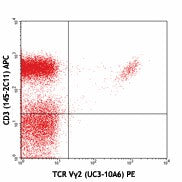 PE anti-mouse TCR Vγ2