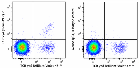 PE anti-mouse TCR Vγ4