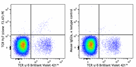 PE anti-mouse TCR Vγ7