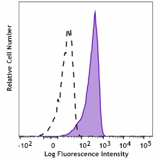 PE anti-NF-kB p65