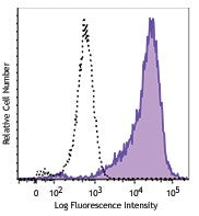 PE anti-Phosphotyrosine