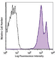 PE anti-rat CD38