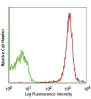 PE anti-rat CD47