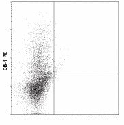 PE anti-rat IFN-γ