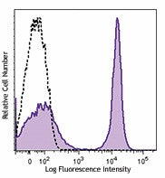 PE anti-rat IgG2a